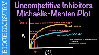 Uncompetitive Inhibitors Michaelis-Menten Plot (Part 2) | Biochemistry