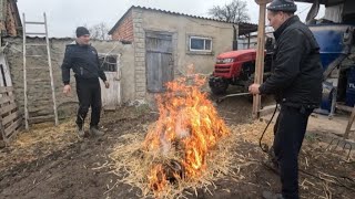 В нас так вже ніхто не робить. Смалимо свинку ячмінною соломою.