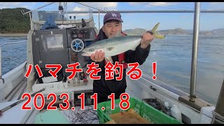 ハマチ一本釣り　2023.11.18 一本釣りのイマイ　Single Line Fishing JAPAN