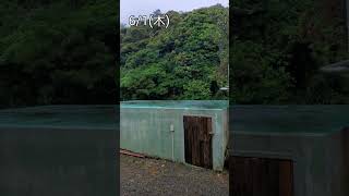 #shorts 奄美大島/台風状況【amamioosima】