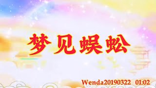 卢台长开示：梦见蜈蚣Wenda20190322   01:02