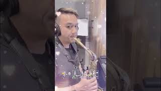 《經典國語歌曲》相見恨晚～彭佳慧_Jamesbon Saxophone Cover