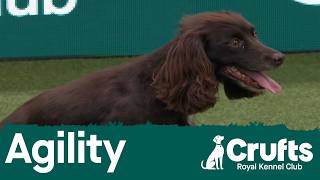 Crufts Singles Final: Small, Medium, (Agility) Part 2 | Crufts 2026