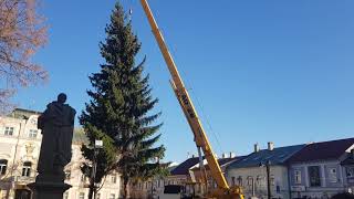 TV Liptov - Vianočný smrek už zdobí centrum mesta