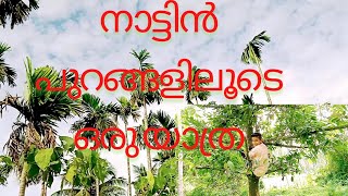 ചെറിയ ഒരു കാഴ്ച്ച  കാടുപിടിച്ചു കിടക്കുന്ന വയൽ.......