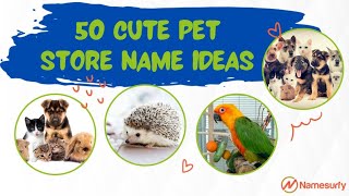 50 Cute Per Store Name Ideas 🐹