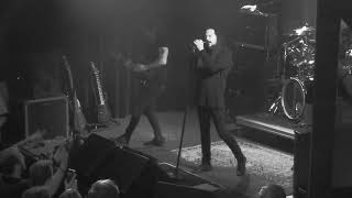 Jonathan Davis (06) Basic Needs @ Vinyl Music Hall (2018-11-03)