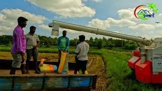 PADDY HARVESTING \u0026 EXPORTING I KILINOCHCHI I SRI LANKA