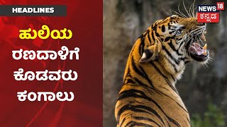 Focus18 | ಒಂಟಿ ಹುಲಿ ರಣದಾಳಿಗೆ 20 ದಿನದಲ್ಲಿ 4 ಸಾವು; Avaniಯನ್ನು ನೆನಪಿಸಿದ್ದೇಕೆ Kodagu ಹುಲಿ ದಾಳಿ?