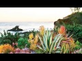 take a peek into western garden book of landscaping sunset