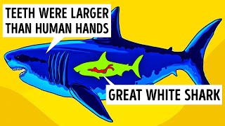 25 Facts and Myths About Megalodon and Other Sea Monsters