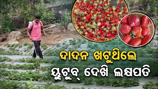 Migrant worker becomes successful strawberry farmer in Ganjam