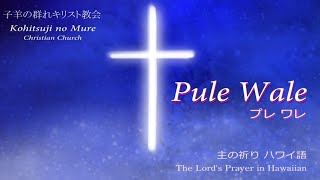 さんびアニメ―ション「主の祈り ハワイ語」 The Lord's Prayer in Hawaiian -Pule a ka Haku - 子羊の群れキリスト教会 Kohitsuji no Mure