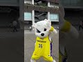 国立競技場で踊ったよ！ サンロッカーズ渋谷 渋谷 bリーグ サンディー バスケ kingandprince