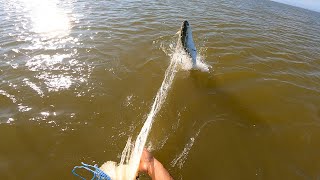 PESCARIA DE TARRAFA NO MAR!🌊TAINHA GIGANTE NA TARRAFA E O DIA QUE O PEIXE ME ACERTOU NA CABEÇA!😂🐟