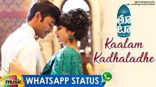 Kaalam Kadhaladhe Whatsapp Status Video | Dhanush THOOTA Movie Songs | Dhanush | Megha Akash