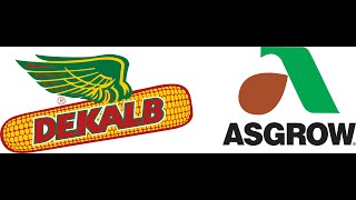 2022 Asgrow-Dekalb Varieties That Fit The Equity's Trade Territory