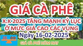 Giá cà phê hôm nay ngày 16/02/2025 | Giá Cà Phê XK Tăng Mạnh Kỷ Luật 2025 ?