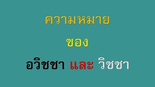 ความหมายของอวิชชา และวิชชา | 14 ธ.ค. 65 | ภันเตโตโต้ : บ้านสวนธัมมะ