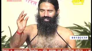 2011_07_10_nishulk avasiya yog shivir haridwar.mp4