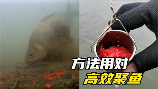 春季釣魚，究竟是魚不開口還是方法用錯了，水下視頻告訴你答案！