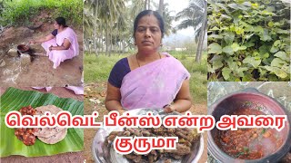 நரம்பு பிரச்சினை/தோல் அலர்ஜி/மலட்டுத்தன்மை/கருமுட்டை வளர்ச்சி/ வெல்வெட் பீன்ஸ் குருமா/Velvet Beans