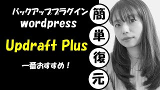 WordPressユーザー必見！一番復元が簡単なバックアッププラグインは【Updraft Plus】！！