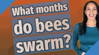 What months do bees swarm?