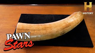 Pawn Stars Do America: Mastodon Tusk from 30 Million Years Ago (S2)