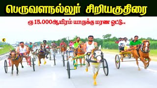 4 இலால்குடி-20000ஆயிரம்-பந்தயம்12.01.2025