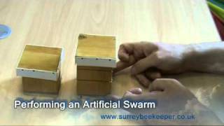 How to perform an artificial swarm