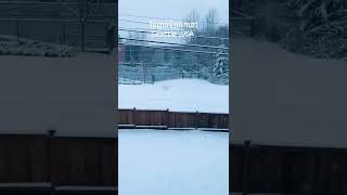 ខែធ្លាក់ទឹកកក       Snowing Season @t Seattle , USA