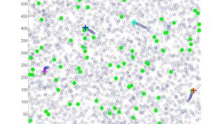 Multiple Target Tracking with Learning