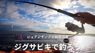 ジグサビキでなんでもいいから釣りたい【ショアジギング】【沖縄ロックショア】