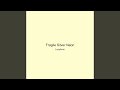 Fragile Silver Neon