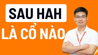 Sau HAH chú ý cổ phiếu nào tiềm năng ?