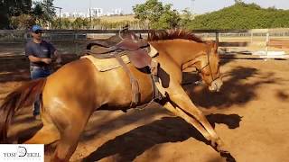 first ride- עליה ראשונה על סייחה