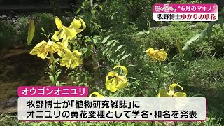 花を愛して「6月のマキノ」高知県立牧野植物園