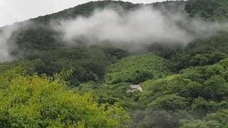 황토물 넘실대는 동강  a river flowing over the Yellow River