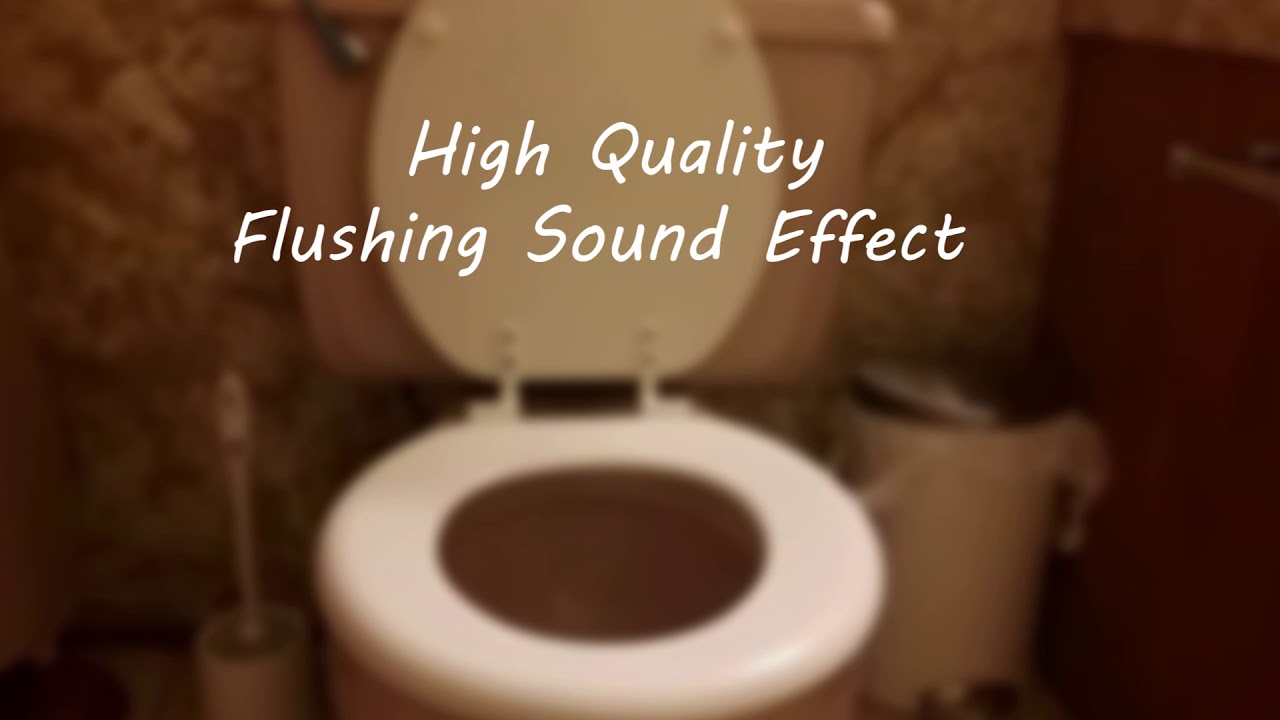 Toilet Flushing Sound Effect - High Quality - YouTube