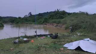 Misi mencari baung - Port Mancing Batang Berjuntai