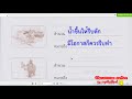 เฉลยทักษะภาษา ป 3 บทที่ 15 เรื่องเล่นคำทาย หน้า 161