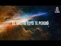 Bad Bunny - Andrea (LetraLyrics) (ft. Buscabulla)  Un Verano Sin Ti  T1 Letra