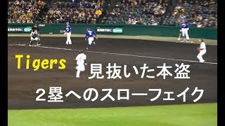 阪神 梅野 隆太郎『見抜いた本盗 2塁への見事なスローフェイク! 』 vs 中日 2019年4月12日甲子園球場