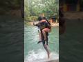 Blue hole in Jamaica #shortvideo #jamaica