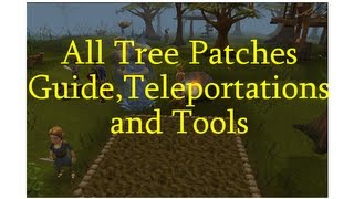 All Tree Patches Teleportation Tools