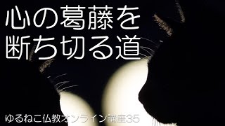 心の葛藤を断ち切る道　ダンマパダ（法句経）293偈を読む｜ゆるねこ仏教オンライン講座35（16 Apr 2024）