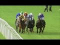 2014 QIPCO British Champions Fillies and Mares Stakes - Madame Chiang