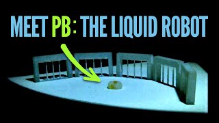 The Particle-Armored Liquid Robot