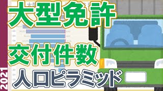 大型免許の交付件数人口ピラミッド(2001-2021)／運転免許統計